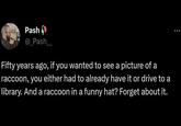 Pash @_Pash__ Fifty years ago, if you wanted to see a picture of a raccoon, you either had to already have it or drive to a library. And a raccoon in a funny hat? Forget about it.