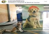 svenatchildrens Children's Hospital & Medical Center Children's