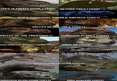 TREX ULTIMATE GUIDE (1996) BEYOND TREX (1998) WHEN DINOSAURS ROAMED AMERICA (2001) VALLEY OF THE TREX (2001) VALLEY OF THE TREX (2001) DINOSAUR PLANET (2003) GIANT MONSTERS WITH JEFF CORWIN (2004) DINOLAB (2006) TREX NEW SCIENCE NEW BEAST (2006), CLASH OF THE DINOSAURS (2010) DINOSAUR REVOLUTION (2011) DINOSAUR REVOLUTION (2011) DINO HUNTERS (2022)