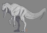 RIAMUS
