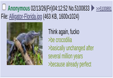 Anonymous 02/13/26(Fri)04:12:52 No.5100833 File: Alligator-Florida.jpg (463 KB, 1600x1024) Think again, fucko >be crocodilia >basically unchanged after several million years >because already perfect >>5100891
