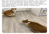 My cat went missing for 2 days, so I put an advert on Facebook. Literally 5 mins after my cat comes to the door. 30 mins later, my neighbour comes and drops off what he thought was my cat. Now I have two identical cats. 218