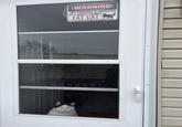 WARNING THIS PROPERTY IS PROTECTED BY A HIGHLY TRAINED FAT CAT NOT RESPONSIBLE FOR INJURY OR POSSIBLE DEATH