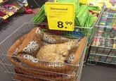 0 1183 Dierenmand MET DIERPRINT 56x44x15 899