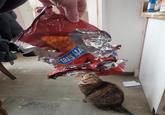 Sheba FLAVORED HEESE rty Size!