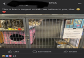 2111- SPCA This is Max's longest streak! We believe in you, Max. AA It has been day(s) since I smacked someone for no reason. Like Comment Share 24