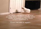 He shut his brother in the pantry then watched his paw slide around on the floor until I opened it. Then he did it again.