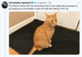 Christopher Ingraham @_cingraham. 9h The World's Worst Cat has discovered that he can wake the big people up by barging into the toddler's room at 6 AM and waking *him* up.