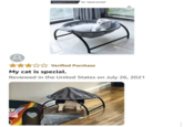 Amazon's Choice for "raised cat bed" + Verified Purchase My cat is special. Reviewed in the United States on July 26, 2021 S