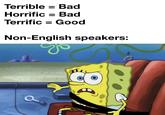 Terrible = Bad Horrific = Bad Terrific = Good Non-English speakers: