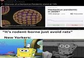 NEWS Translated from French Chances of a Hantavirus Pandemic stand at 14% $109,972 Vol. Hantavirus pandemic in 2026? 14% chance -21% Polymarket Hantavirus pandemic in 2026? 617 13517 4.6K Yes 14¢ 1.2M No 86¢ "It's rodent-borne just avoid rats" New Yorkers: f