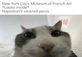 New York City's Museum of French Art *Looks inside* Napoleon's severed penis