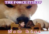 THE FORCE ITSELF Now kiss