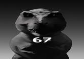 67