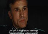 Lord Stark of Winterfell, you are hiding a Targaryen within your castle are you not?