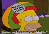 TOO COOL FOR THIS PLANET "What does your Hat of Disguise currently look like?" imgflip.com