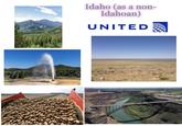 Idaho (as a non- Idahoan) UNITED