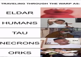 TRAVELING THROUGH THE WARP AS: ELDAR HUMANS TAU NECRONS ??? ORKS ???