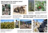 High-ish peak in the northern/ central Appalachians starter pack Take a break in a rockshelter guarded by rhododenrons Give the timber rattler lots of space, he doesn't want to hurt you Krummholz white pines Little blueberry, cranberry, huckleberry bushes nestled among weird lichens along most trails "See how it kinda looks Gets suddenly cold like a lion's head?" and windy at the summit Meadows full of raspberries and blackberries (thimbleberry if you're lucky) Convergence of backpackers and dayhikers with toddlers KAYDEN GET DOWN FROM THERE RIGHT NOW!