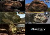 VALLEY OF THE T-REX INOSAUR GIANT MONSTERS WITH JEFF CORWIN T.REX NEW SCIENCE NEW BEASTS DINOLAB Discovery CHANNEL