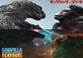 GODZILLA IVS.I KONG キングコング対ゴジラ