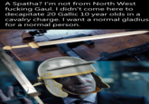 A Spatha? I'm not from North West f------ Gaul. I didn't come here to decapitate 20 Gallic 10 year olds in a cavalry charge. I want a normal gladius for a normal person.