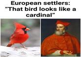 European settlers: "That bird looks like a cardinal"