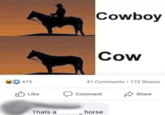 475 Cowboy Cow • 41 Comments ⚫ 173 Shares Like Comment Thats a horse Share