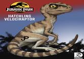 JURASSIC PARK HATCHLING VELOCIRAPTOR P DINOMAN