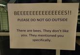 BEEEEEEEEEEEEEEES!! PLEASE DO NOT GO OUTSIDE There are bees. They don't like you. They mentioned you specifically.