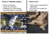 Cats in Middle Ages: - hard working - went to church - walked on hind legs - contributed to society Cats now: - lazy and ungrateful - atheists - too lazy to walk on hind legs Atuellatud mu