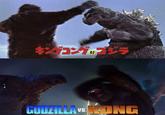 #7755 GODZILLA VS. KONG