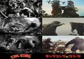 KING KONG キングコング&ゴジラ