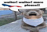 waiter! waiter! more please!!