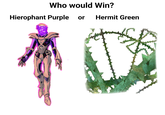 Who would Win? Hierophant Purple or Hermit Green