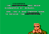 GOD-EMPEROR THE CO HAS BEEN KIDNAPPED BY NINJAS. ARE YOU A BAD ENOUGH DUDE GOD-EMPEROR TO RESCUE THE