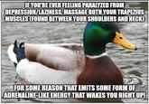 IF YOU'RE EVER FEELING PARALYZED FROM DEPRESSION/LAZINESS, MASSAGE BOTH YOUR TRAPEZIUS MUSCLES (FOUND BETWEEN YOUR SHOULDERS AND NECK) FOR SOME REASON THAT EMITS SOME FORM OF ADRENALINE-LIKE ENERGY THAT WAKES YOU RIGHT UP! Imgflip.com