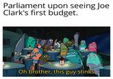 Parliament upon seeing Joe Clark's first budget. co 87 Oh brother, this guy stinks