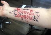 HOO WEARS TO LIVE BORATED DIE