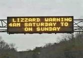 LIZZARD WARNING 4AM SATURDAY TO ON SUNDAY