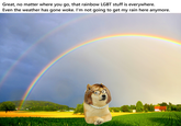 Great, no matter where you go, that rainbow LGBT stuff is everywhere. Even the weather has gone woke. I'm not going to get my rain here anymore.