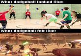 What dodgeball looked like: NGS JOBY SATE NACKLES What dodgeball felt like: KWACKE VACKER Darthholocron