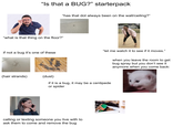 "Is that a BUG?" starterpack "has that dot always been on the wall/ceiling?" "what is that thing on the floor?" if not a bug it's one of these (hair strands) (dust) "let me watch it to see if it moves." if it is a bug, it may be a centipede or spider calling or texting someone you live with to ask them to come and remove the bug when you leave the room to get bug spray but you don't see it anymore when you come back: