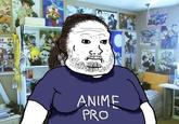 ANIME PRO RAA