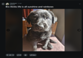 к r/Eyebleach • 1y ago [deleted] Bro thinks life is all sunshine and rainbows > 2.3K 49 D Share :