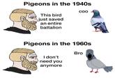 Pigeons in the 1940s This bird just saved an entire battalion COO Pigeons in the 1960s I don't need you anymore Bro