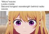 "Micro"waves Looks inside Second longest wavelength behind radio waves
