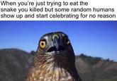 When you're just trying to eat the snake you killed but some random humans show up and start celebrating for no reason