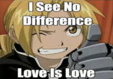 I See No Difference Love Is Love