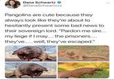 Dana Schwartz @DanaSchwartzzz Pangolins are cute because they always look like they're about to hesitantly present some bad news to their sovereign lord. "Pardon me sire... my liege if I may.... the prisoners.... they've..... well, they've escaped."